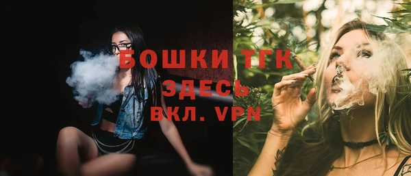 крисы Козловка