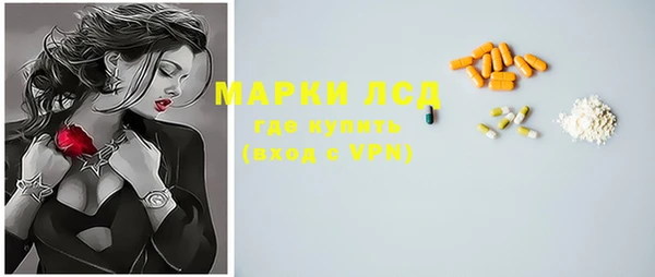крисы Козловка