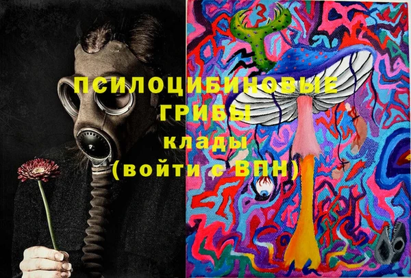 крисы Козловка