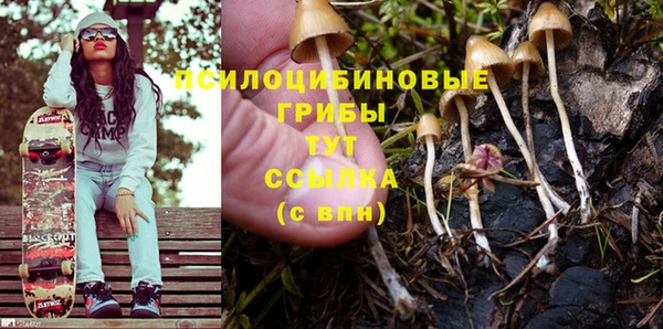 стафф Костерёво