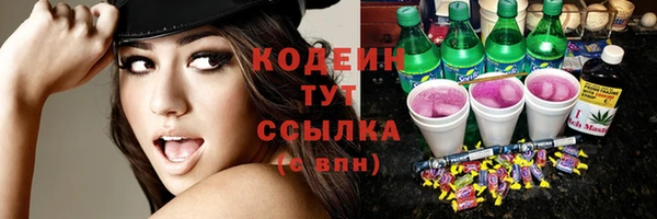 крисы Козловка