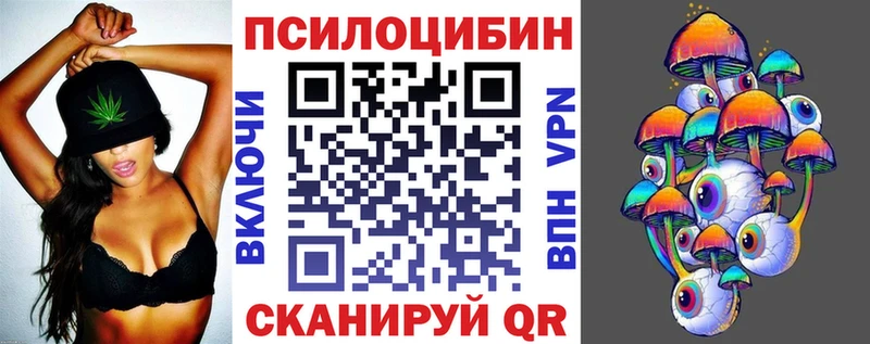 Купить закладки  Котельниково  Псилоцибиновые грибы Psilocybe 