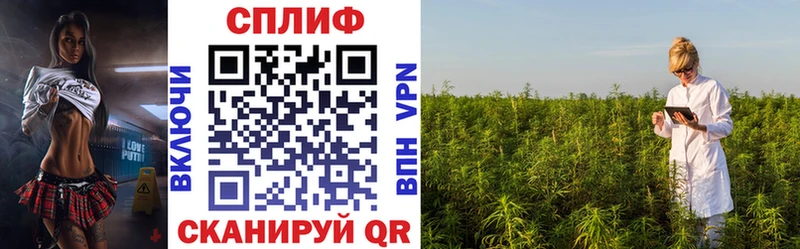 Купить  Котельниково  Каннабис семена 